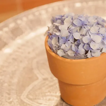 乡村民宿 Priorato San Martin