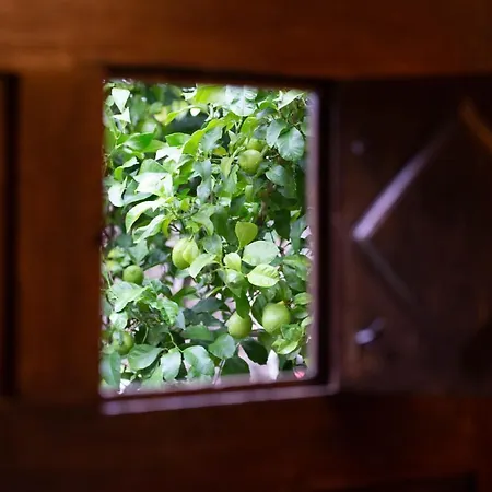 Priorato San Martin 乡村民宿