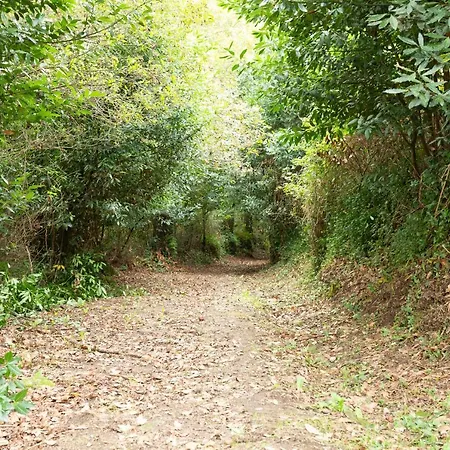 Priorato San Martín * Amés